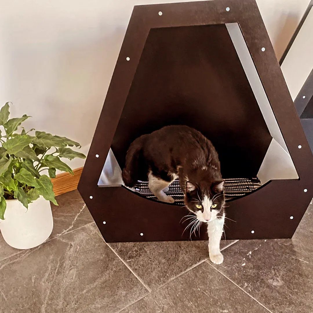 Camita para 1 mascota by: IDEA AND CREATE (IAC)