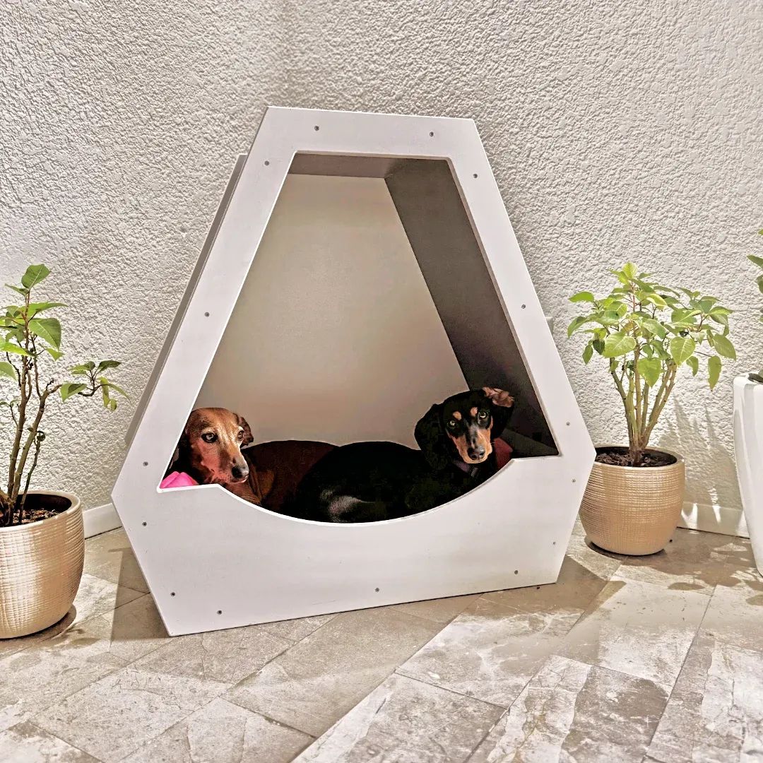 Camita para 1 mascota by: IDEA AND CREATE (IAC)